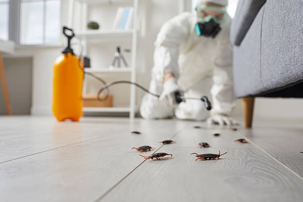 Trusted Fumigation Services service in Rafter J Ranch, WY - Nex Pest Control