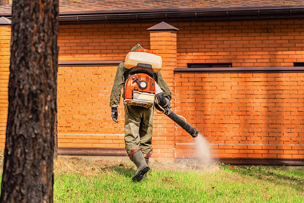Trusted Termite Control service in Rafter J Ranch, WY - Nex Pest Control